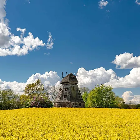 Seenest Am Roebeler Stadthafen - Neubau 2025 Röbel